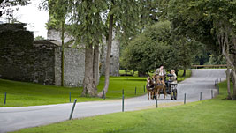 Kutschfahrt, Bogenschießen oder Wracktauchen Kutschfahrt, Bogenschießen oder Wracktauchen
