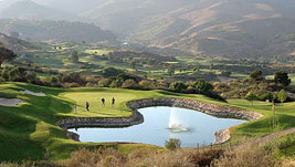 Campo America Campo America